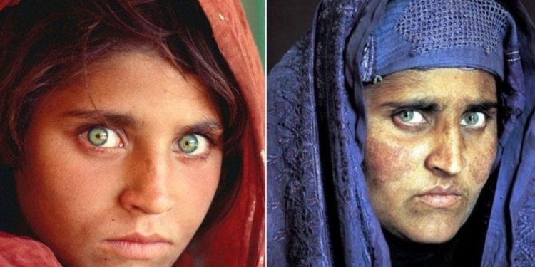 sharbat gula