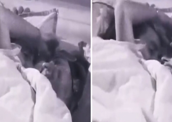 Soleil Sorge e Alex Belli a letto insieme