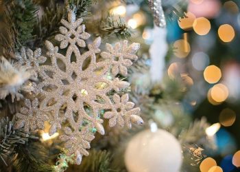 Albero di Natale (Pixabay)