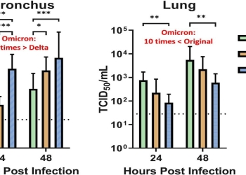 Variante Omicron, studio dell'Università di Hong Kong