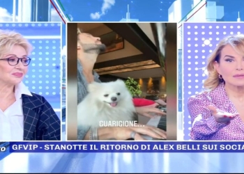 Alex Belli, Pomeriggio5