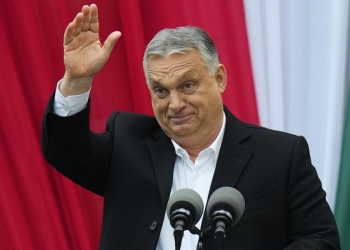 teoria della grande sostituzione