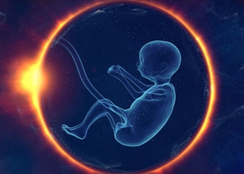 Embrioni e fecondazione (Pixabay, 2022)