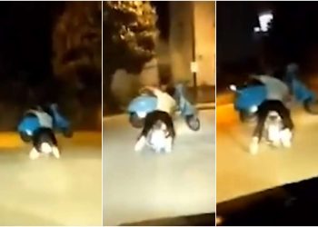 Trasportano una Vespa sullo scooter in due (screen da Instagram)