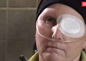 Daniela Molinari, Chi l'ha visto