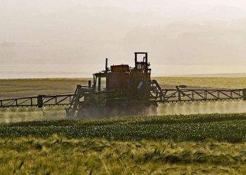 Agricoltura ed agroalimentare