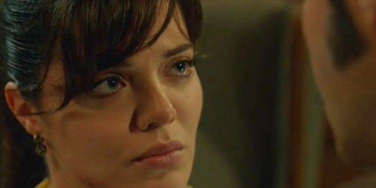 Terra amara (foto: web)