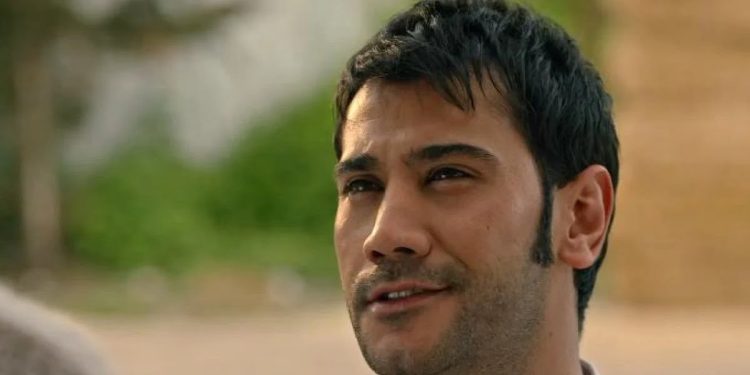 terra amara (foto: web)