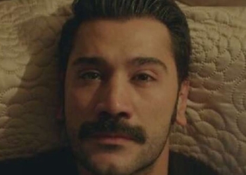 Terra amara (foto: web)