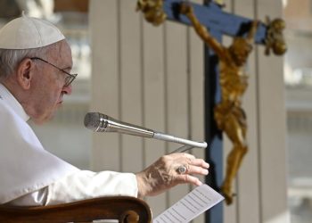 Papa Francesco, Udienza Generale