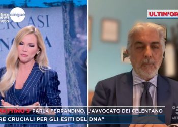 L'avvocato di Angela Celentano a Mattino Cinque