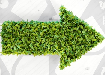 Radicalismo ecologico