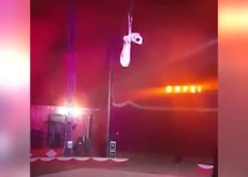 Incidente trapezista circo Orfei a Terlizzi