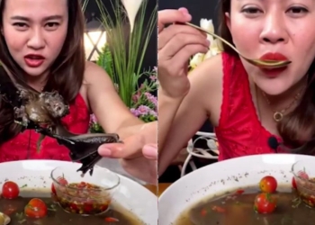 L'influencer che mangia il pipistrello (Youtube)