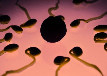 Spermatozoi e correlazione Covid