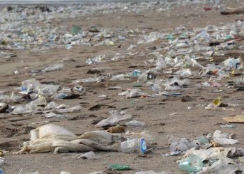 I sacchetti biodegradabili inquinano il pianeta (Pixabay)