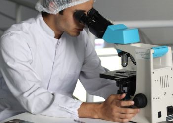 Scoperta la proteina dello stress: si tratta di MECP2 (Immagine di repertorio, Unsplash)