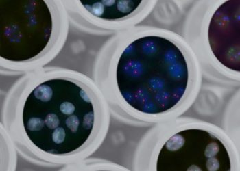 Sequenziamento di massa del genoma dei neonati il Gran Bretagna (Unsplash)