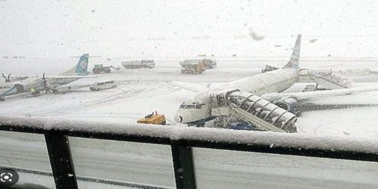 Pilota salva due persone: evita schianto in aeroplano. (Foto: Web)