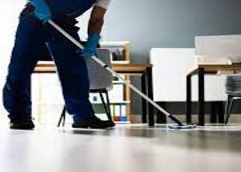 bonus colf e badanti 2023