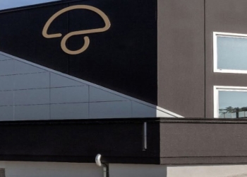 Boss in incognito: cosa tratta l'azienda Profunghi. (Foto: Web)