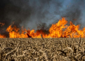 Campi di grano in fiamme dopo un bombardamento a Kharkiv, Ucraina (LaPresse)