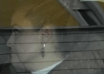 Silvia Panzeri, Qatargate