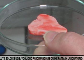 Carne Sintetica (Fuori dal coro)