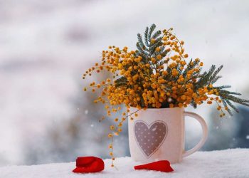 Festa della donna 2023 (Pixabay)