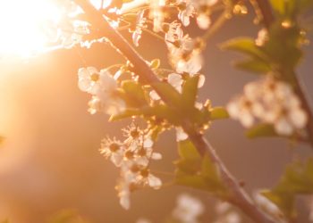 Equinozio di primavera