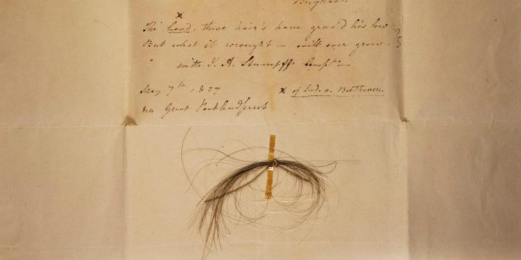 Ciocca di capelli di Beethoven (Twitter)