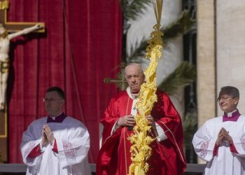 Papa, Domenica delle Palme