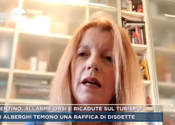 L'onorevole Brambilla a Mattino 5