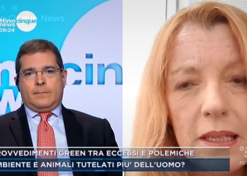 Onorevole Brambilla a Mattino 5 News