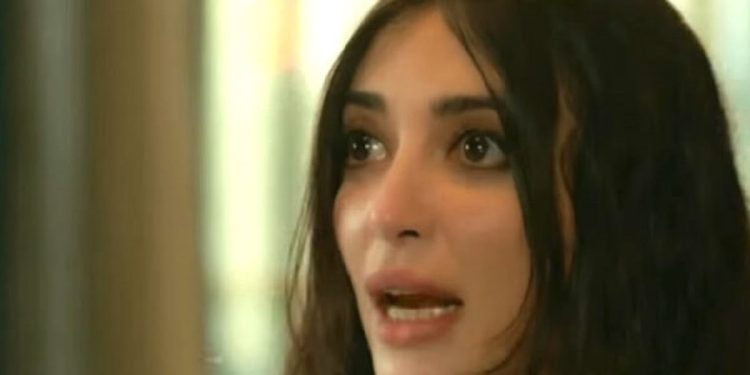 Terra amara (foto: web)