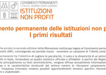 Non profit, censimento Istat
