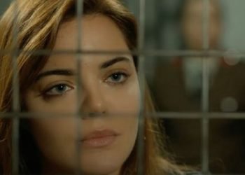 Terra amara (foto: web)