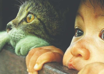 Dalla copertina del libro (foto Edizioni Sanpino)