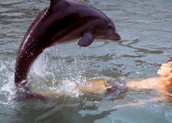 Una scena del film nel pomeriggio di Rete 4 (Foto Web)