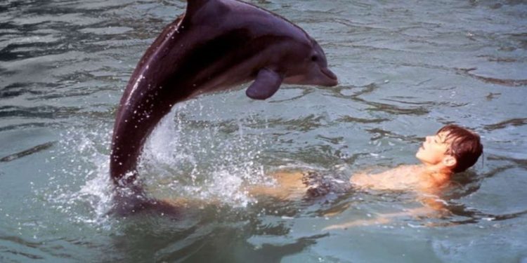 Una scena del film nel pomeriggio di Rete 4 (Foto Web)