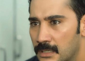 Terra amara (foto: web)