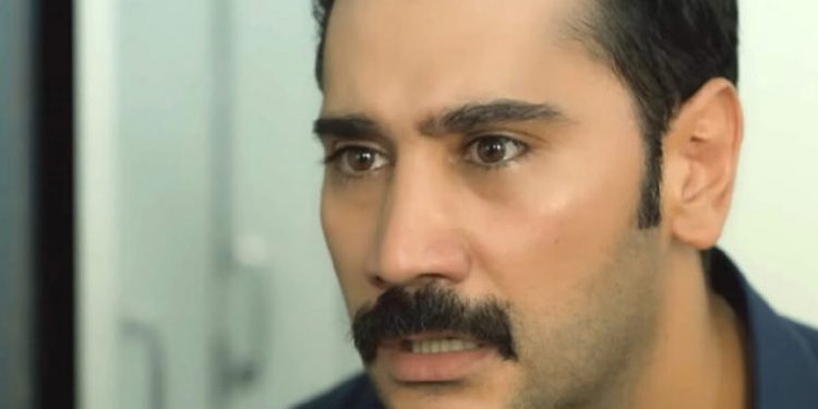 Terra amara (foto: web)