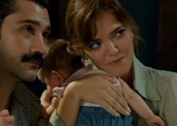 Terra amara (foto: web)