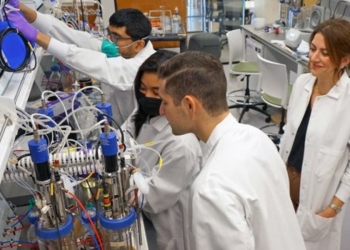 Ricercatori del MIT, il Massachusetts Institute of Technology (Twitter)