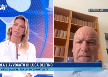 Luca Delfino, l'avvocato a Morning News