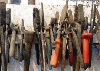 Image by LoggaWiggler from Pixabay