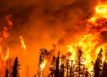 Incendi Maui e complottismo