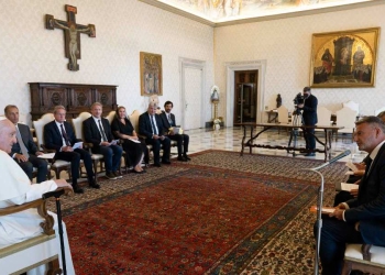 Papa Francesco, udienza in Vaticano