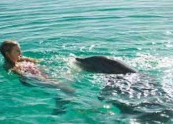 Una scena del film nel pomeriggio di Rai 1