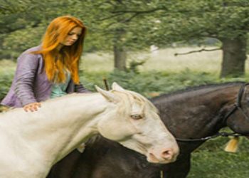 Una scena del film in prima serata su Italia 1 (Foto Web)